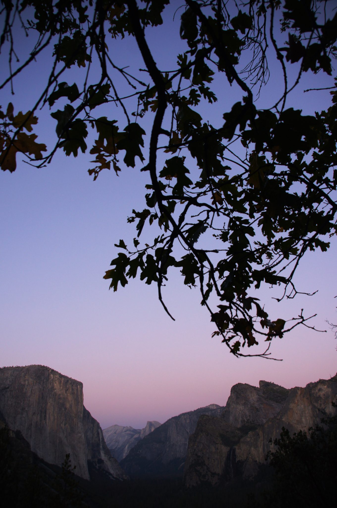 sunset in the Yosemite national park facing the el capitan