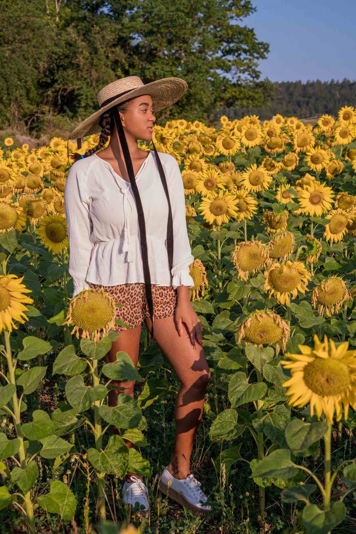 Photoshooting in a sunflower field, pictures in a flower field, straw hat in summer