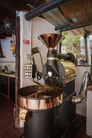 coffee plantation in Europe Gran Canaria coffee plantation