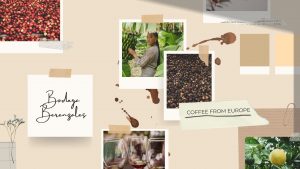coffee plantation in Europe Gran Canaria coffee plantation