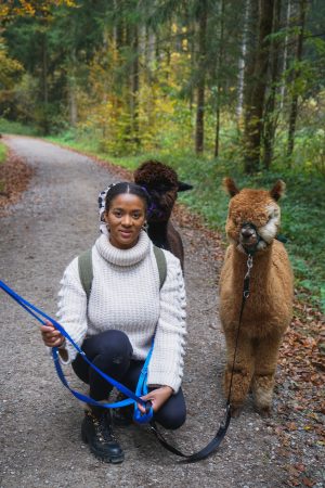 Walking with alpacas Switzerland Germany