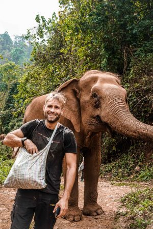 Elephant Experience Thailand Chiang Mai