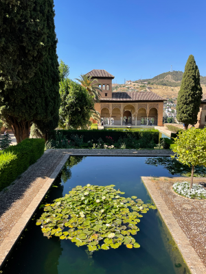 Alhambra Granada Things to do in Granda