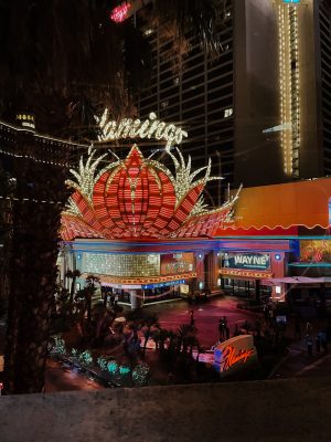 top 10 things to do in las vegas Casinos nightlife Las Vegas Fashion Blogger Photos