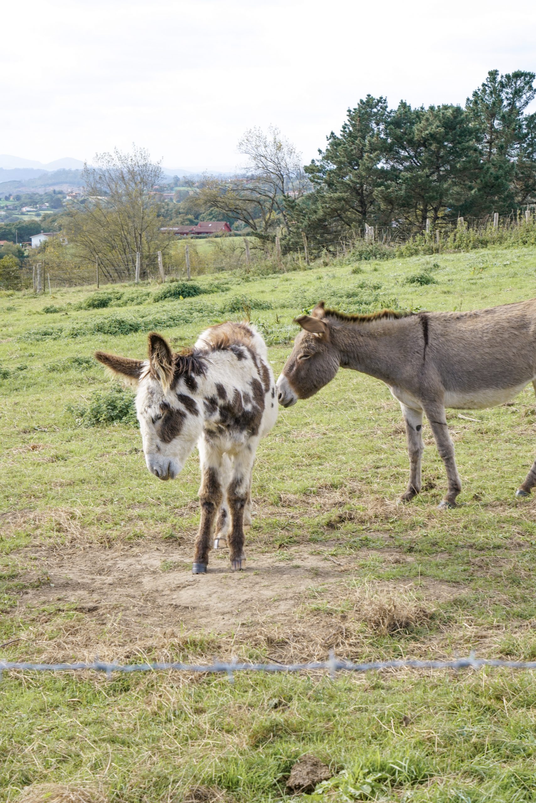 Country Life, Country Fall Mood, Country Photo Inspiration